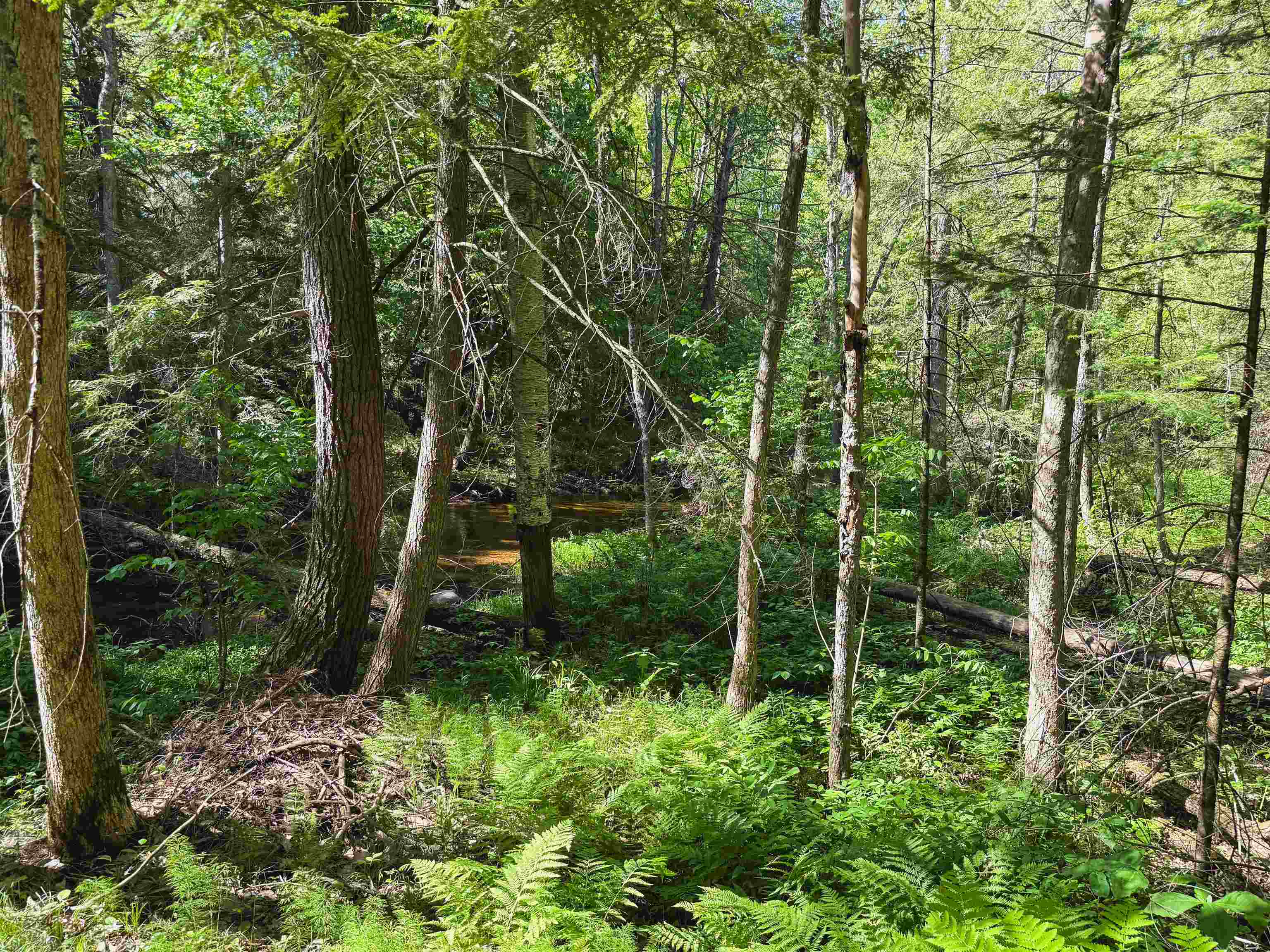 12323 Leo's Road Suring, WI 54174 - Photo 12 of 30
