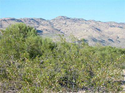 20 East Rincon Creek Ranch Road, Unit A Tucson, AZ 85747 - Photo 2 of 3