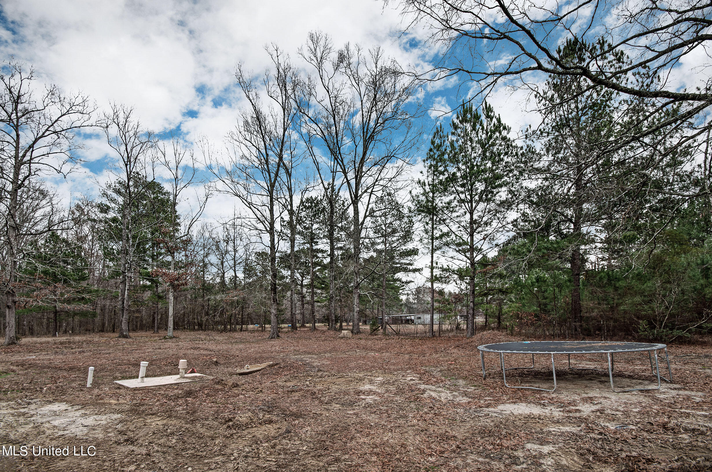 285 Coke Road Florence, MS 39073 - Photo 26 of 27 IMGP7640_1_2