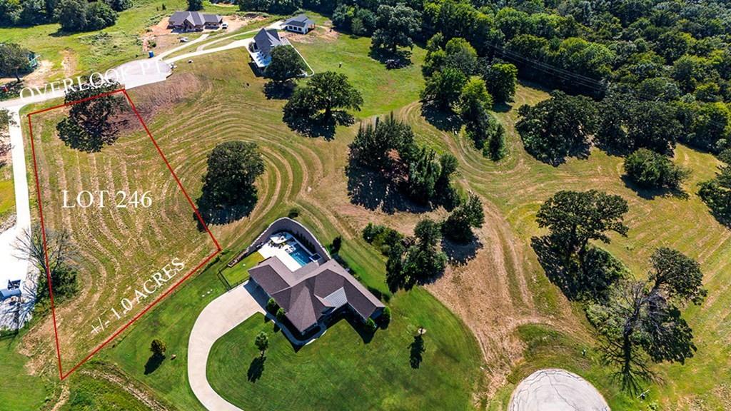 Lot 246 Overlook Point Athens, TX 75752 - Photo 3 of 12 a bird view of lake