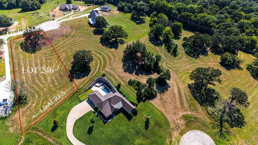 Lot 246 Overlook Point Athens, TX 75752 - Photo 4 of 12 a bird view of lake