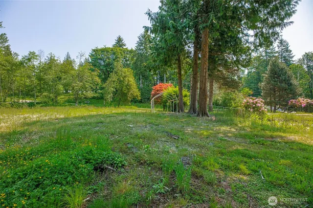 a backyard of a house with lots of green space