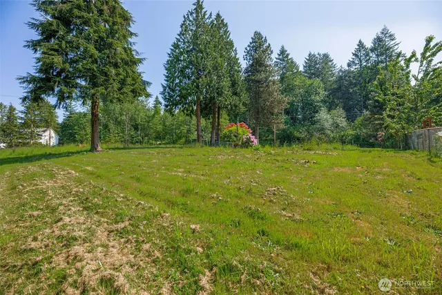 a garden covered with trees
