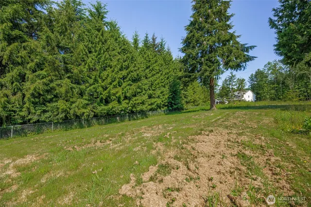 a view of a tree with a yard