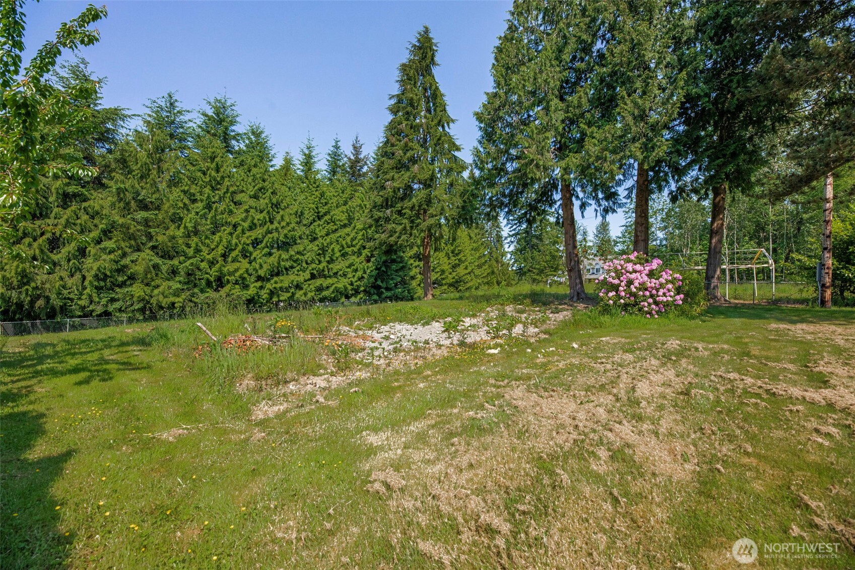 21022 Welch Road Snohomish, WA 98296 - Photo 15 of 28 a garden covered with trees
