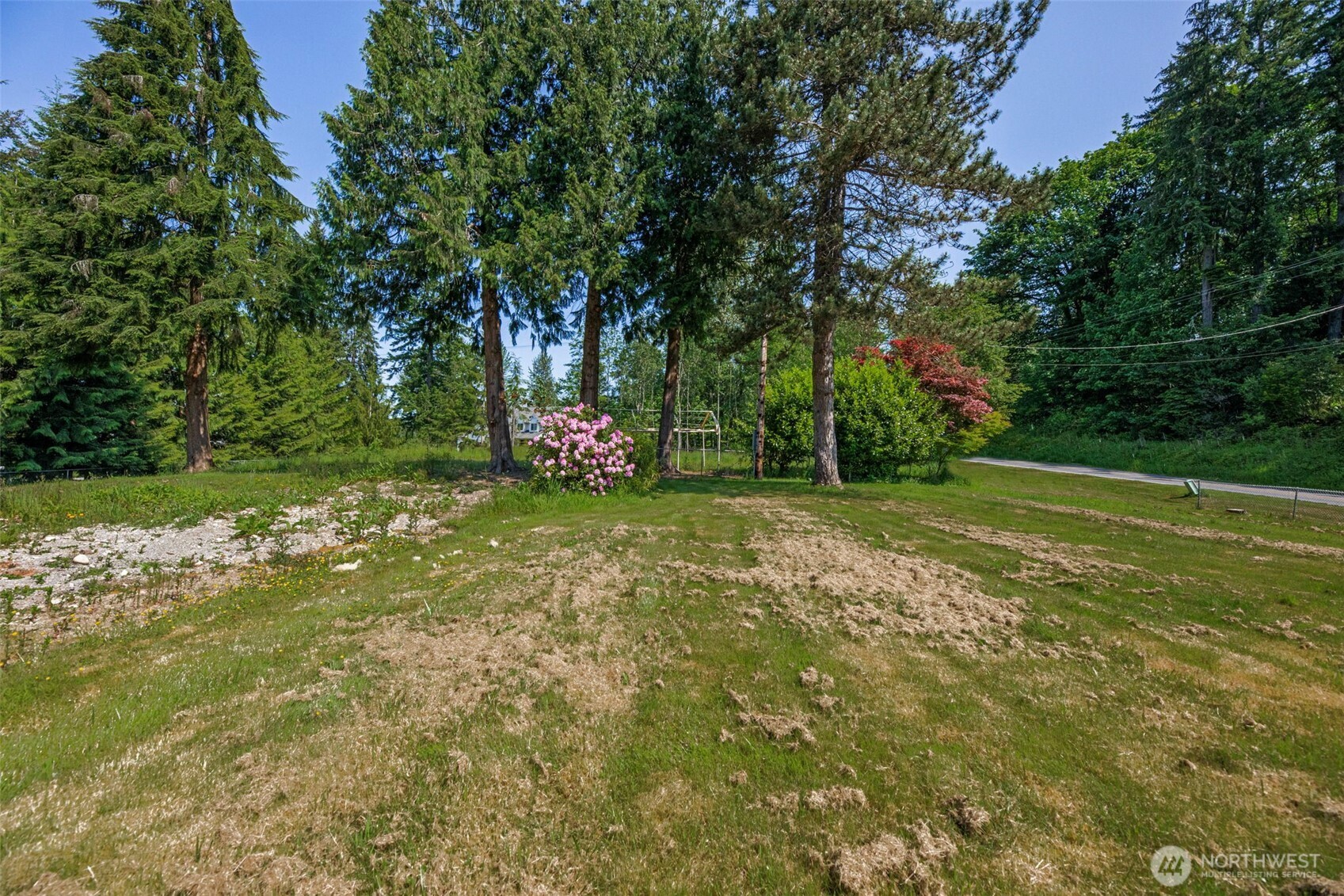 21022 Welch Road Snohomish, WA 98296 - Photo 16 of 28 a view of a tree with a yard