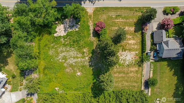 a view of a garden with plants