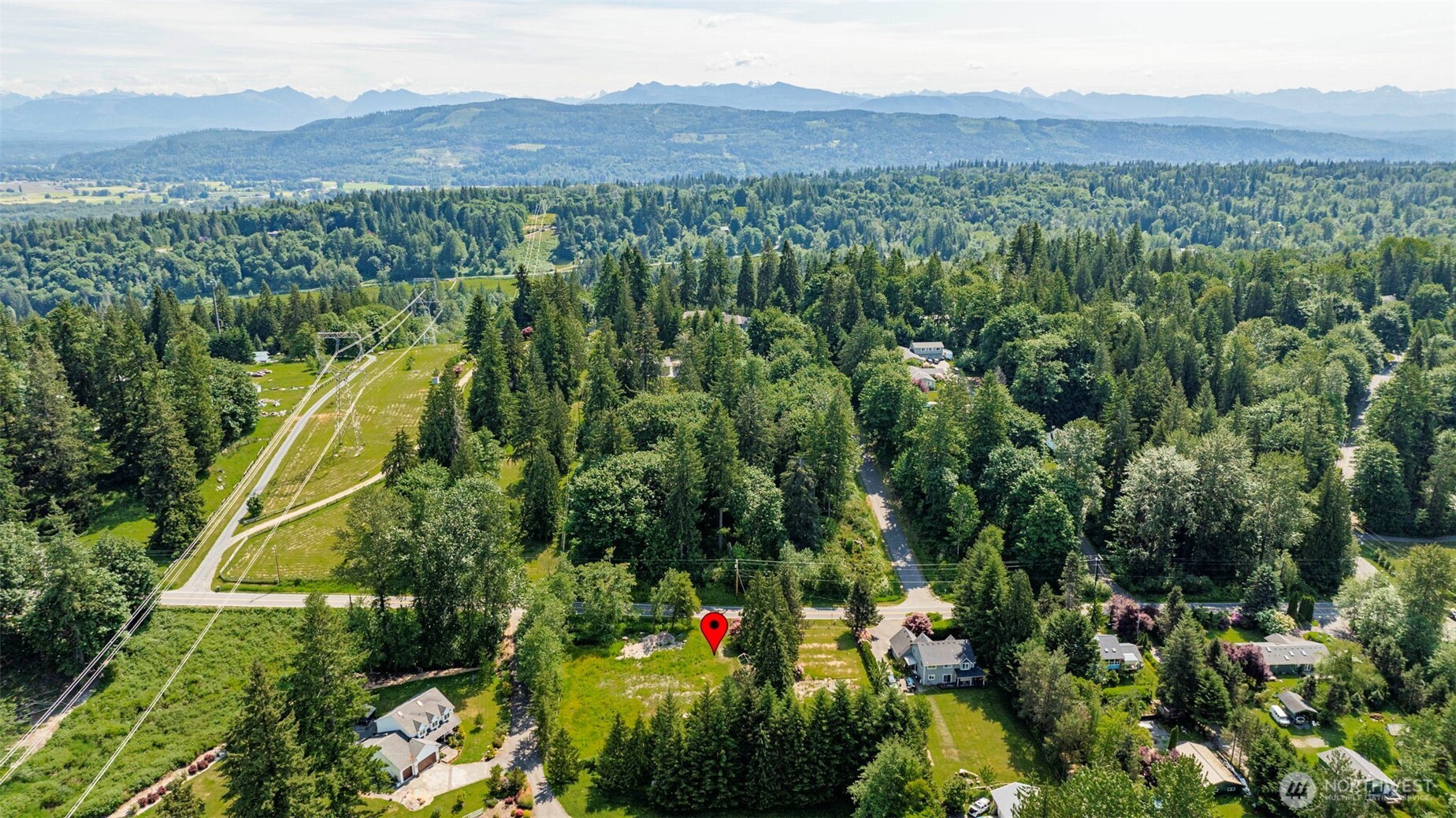 21022 Welch Road Snohomish, WA 98296 - Photo 22 of 28 an aerial view of green landscape with trees houses and mountain view