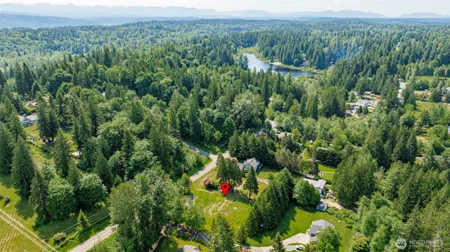 a view of a lush green forest with a lush green forest