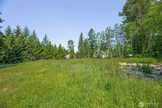 a view of a lake with houses in the back