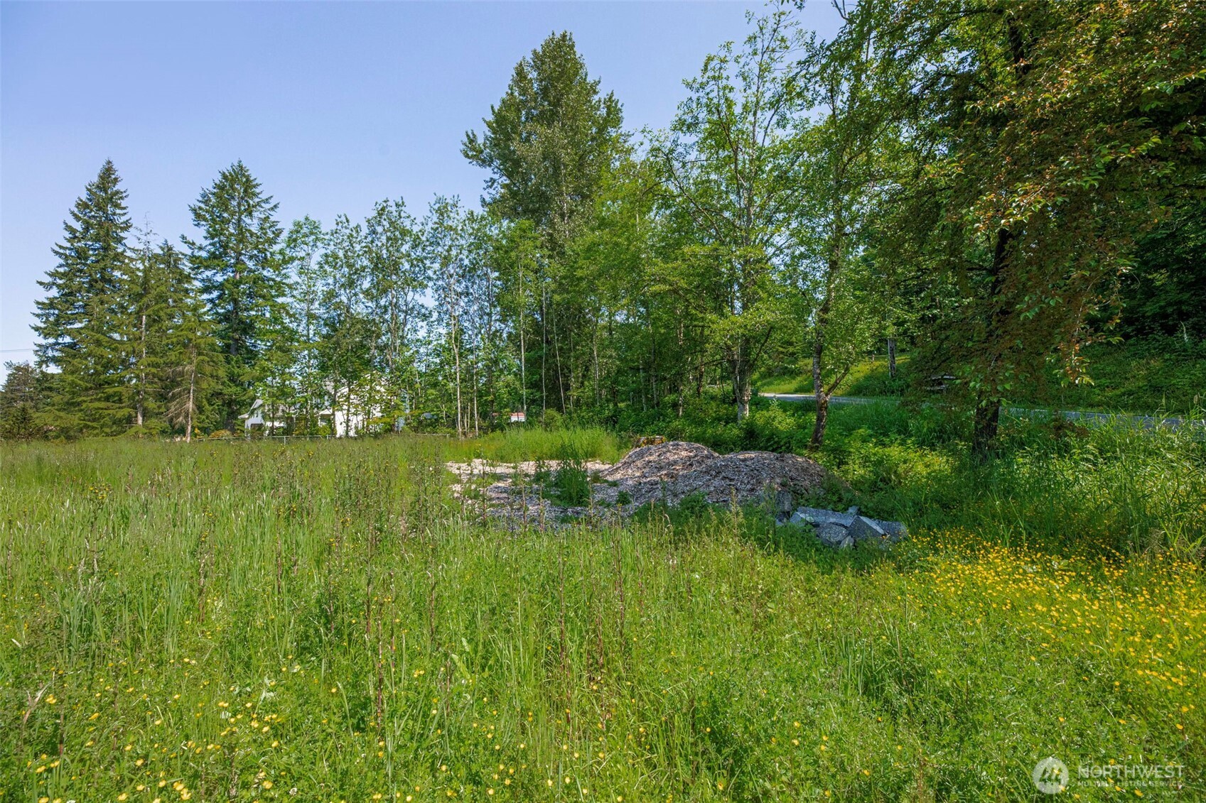 21022 Welch Road Snohomish, WA 98296 - Photo 5 of 28 a view of a lush green space