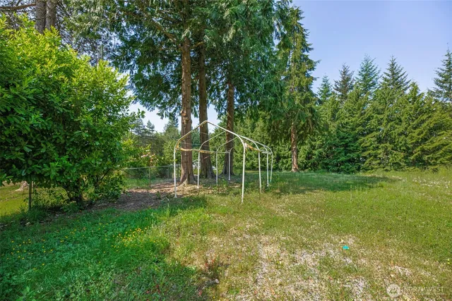 a view of a field with a tree