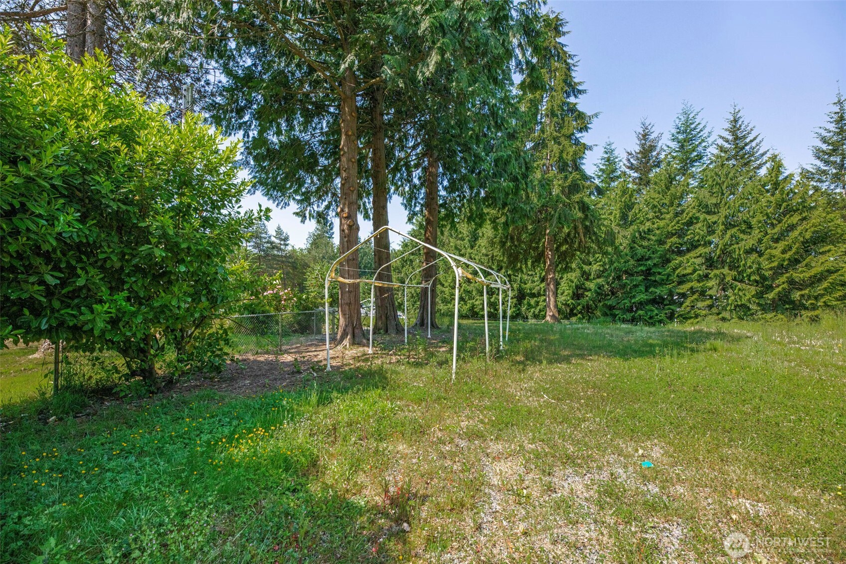 21022 Welch Road Snohomish, WA 98296 - Photo 6 of 28 a view of a field with a tree