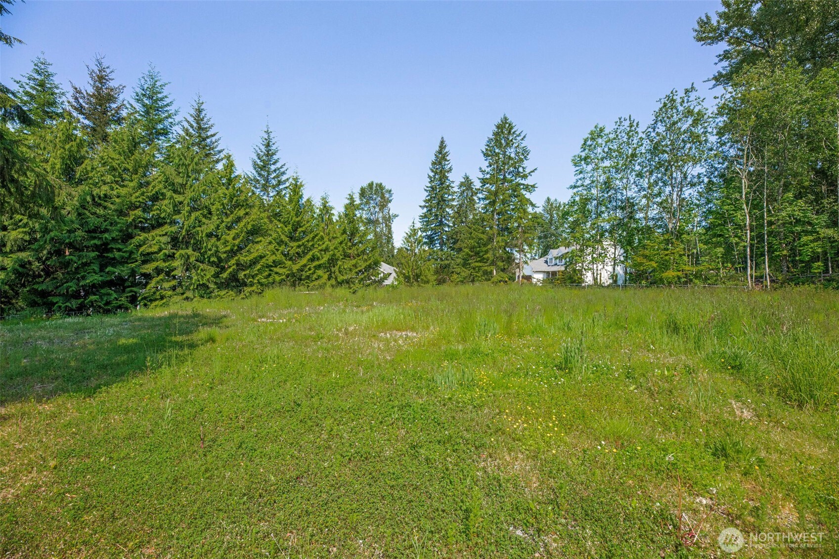 21022 Welch Road Snohomish, WA 98296 - Photo 7 of 28 a yard with huge green field and trees in the background