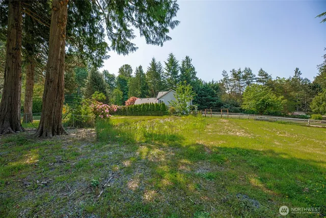 a view of a garden with a bench
