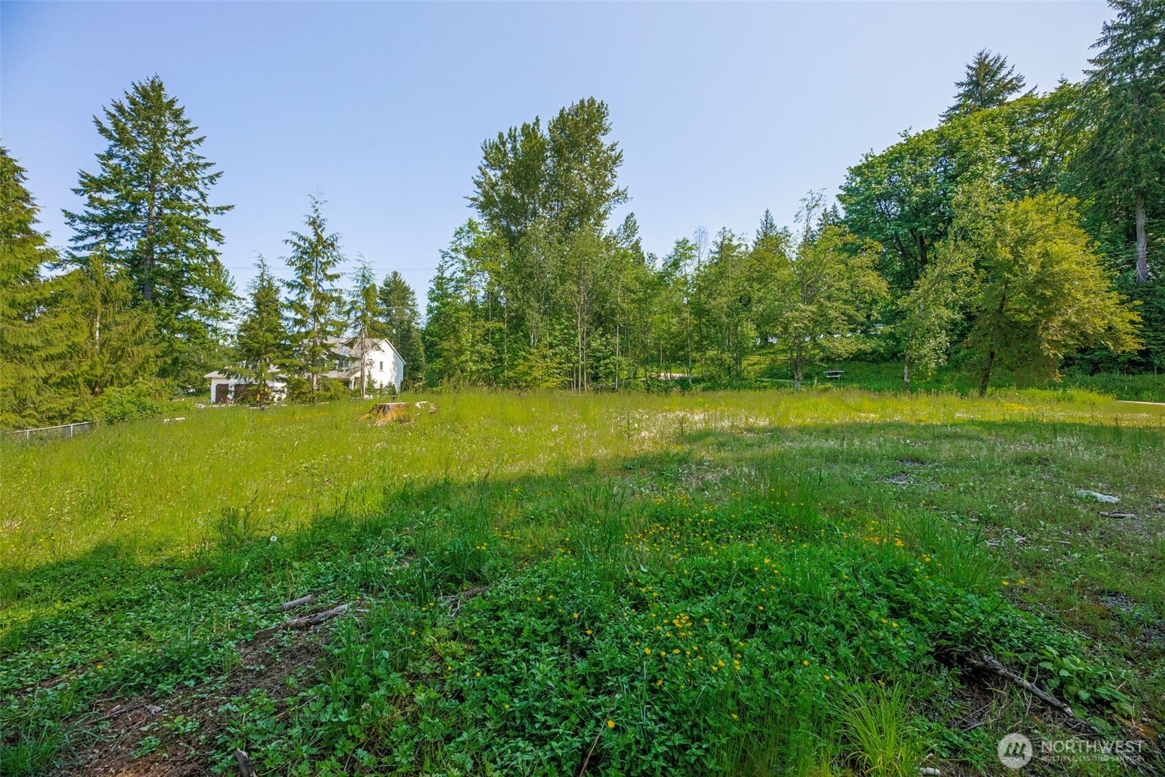 21022 Welch Road Snohomish, WA 98296 - Photo 10 of 28 a view of a green yard