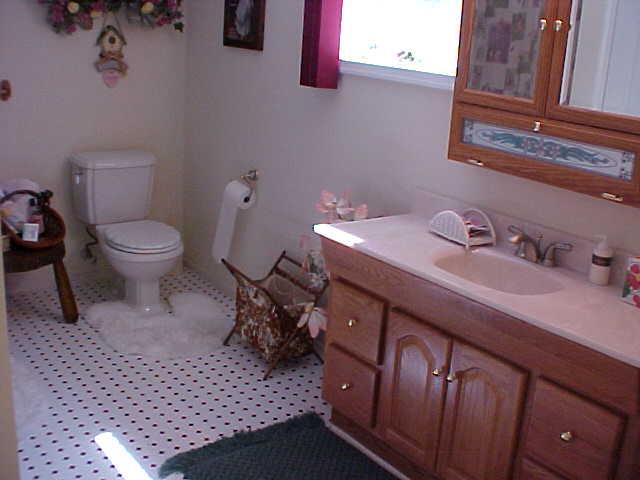 306 Mud Run Road Cresco, PA 18326 - Photo 5 of 11 LL BA