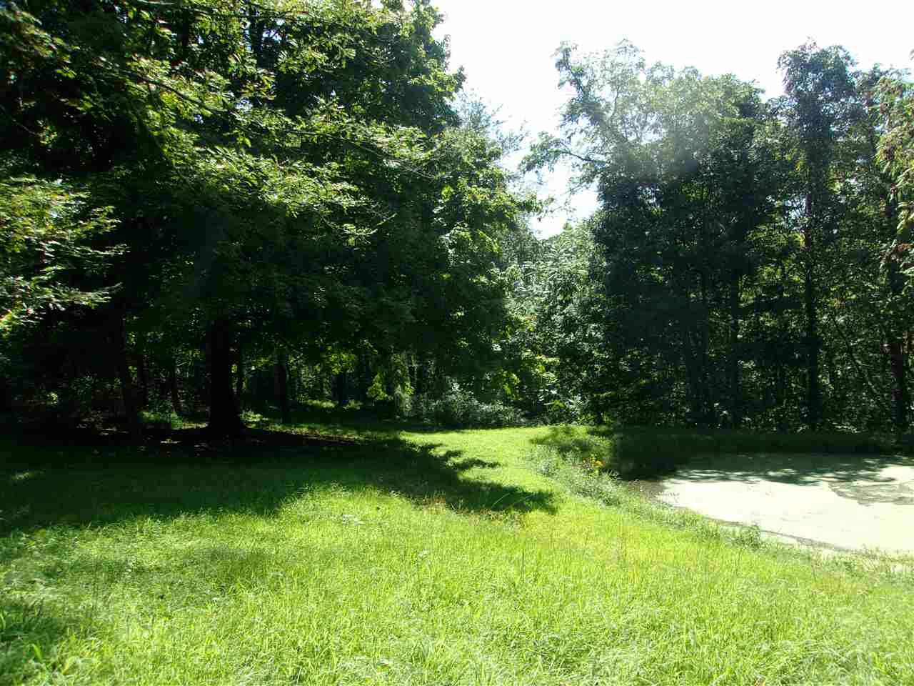 30-acres Dover Road Augusta, KY 41002 - Photo 6 of 50 Gallery Image 6