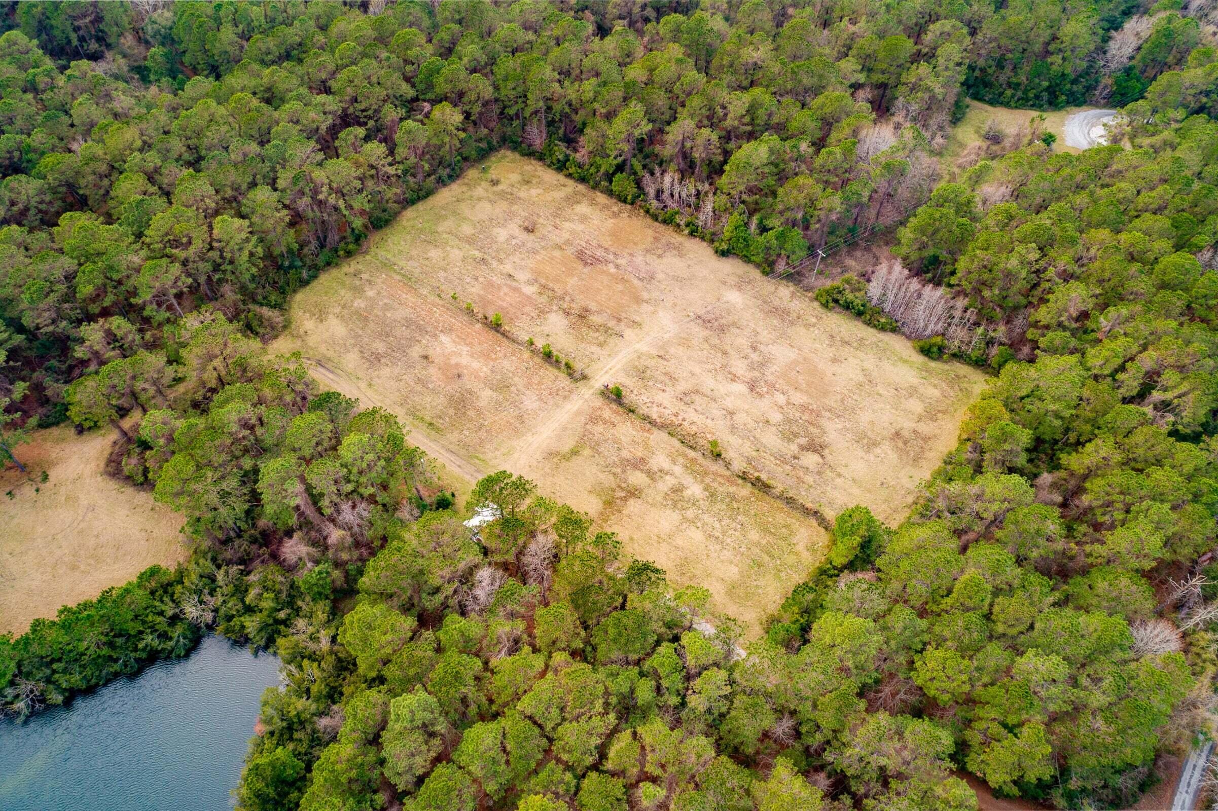 4193 Longmarsh Road Awendaw, SC 29429 - Photo 14 of 14 The Farm