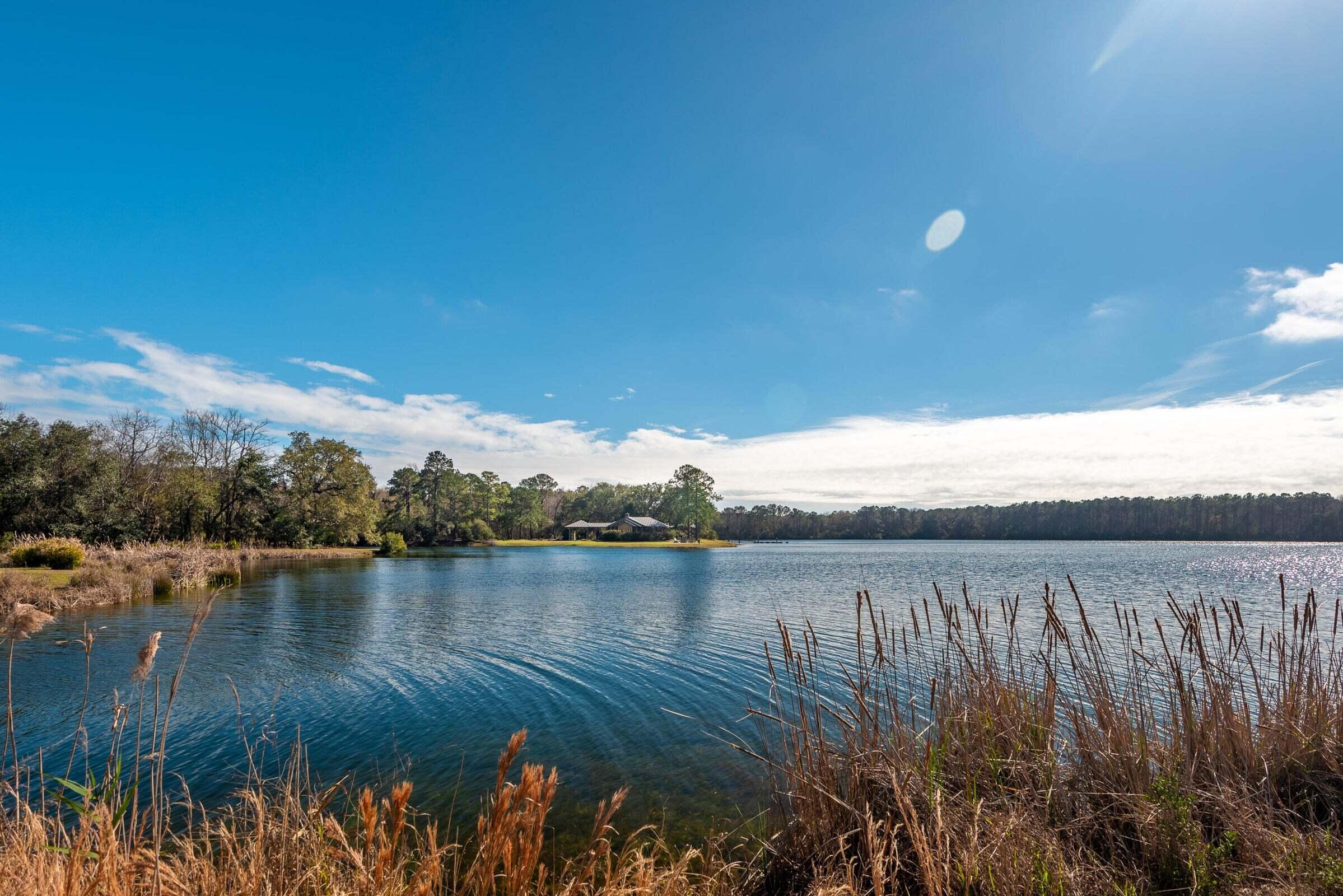 4193 Longmarsh Road Awendaw, SC 29429 - Photo 8 of 14 Community Lake