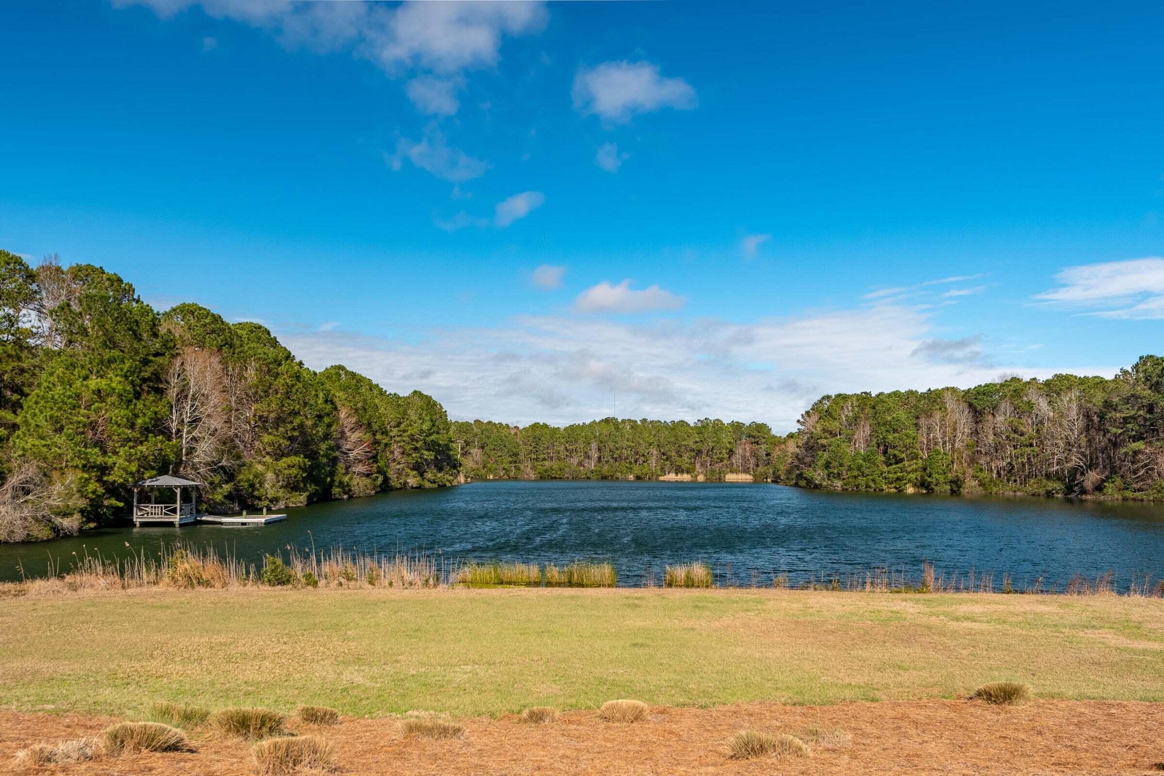 4193 Longmarsh Road Awendaw, SC 29429 - Photo 10 of 14 Community Lake