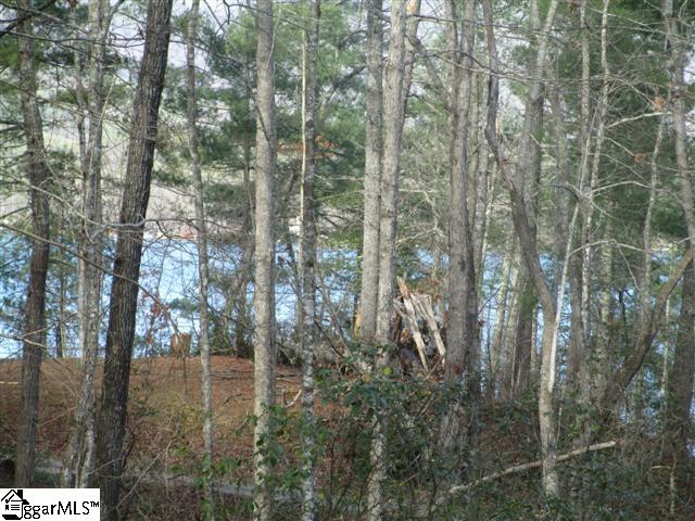 323 Evergreen Ridge Tamassee, SC 29686 - Photo 3 of 12 Gallery Image 3
