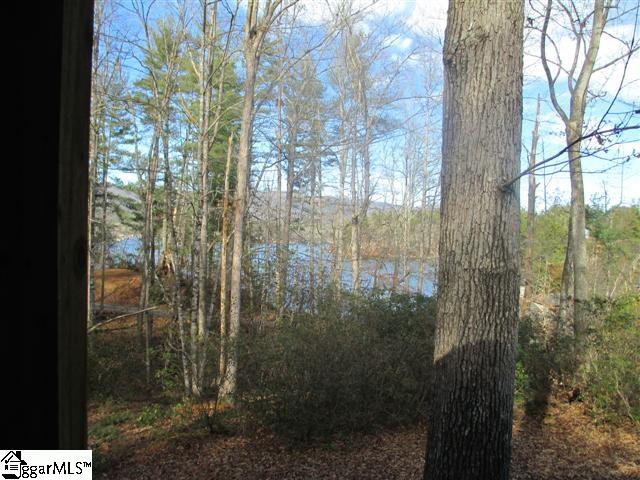 323 Evergreen Ridge Tamassee, SC 29686 - Photo 4 of 12 Gallery Image 4
