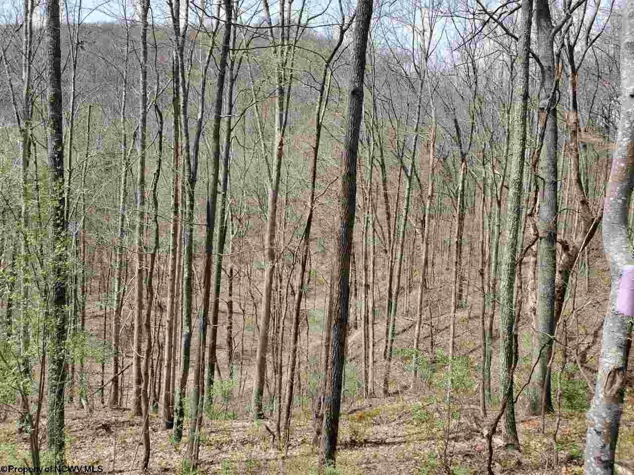 737 Curtis Run Road Weston, WV 26452 - Photo 3 of 4 Gallery Image 3