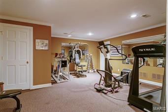 13350 Buckland Hall Road Town and Country, MO 63131 - Photo 49 of 93 Gallery Image 49