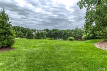 13350 Buckland Hall Road Town and Country, MO 63131 - Photo 79 of 93 Gallery Image 79