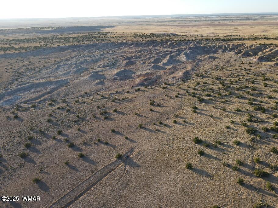 Lot 12 Carrizo Ranch St. Johns, AZ 85936 - Photo 2 of 7