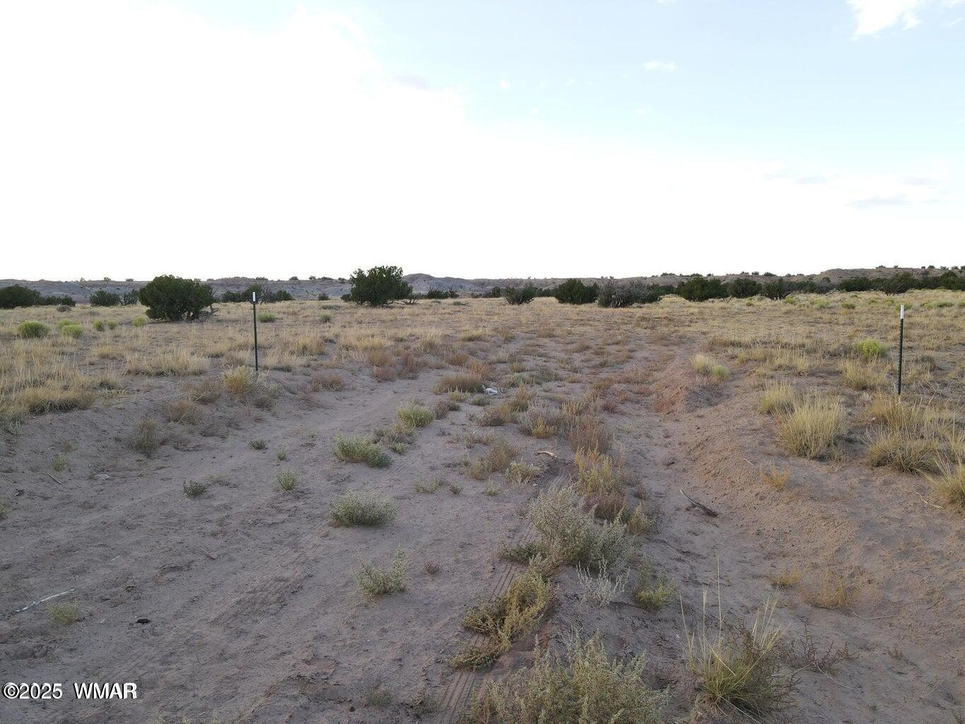 Lot 12 Carrizo Ranch St. Johns, AZ 85936 - Photo 3 of 7 a view of a dry yard with trees in the background