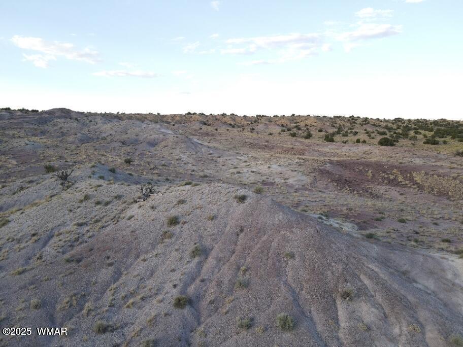 Lot 12 Carrizo Ranch St. Johns, AZ 85936 - Photo 4 of 7 a view of a dry field