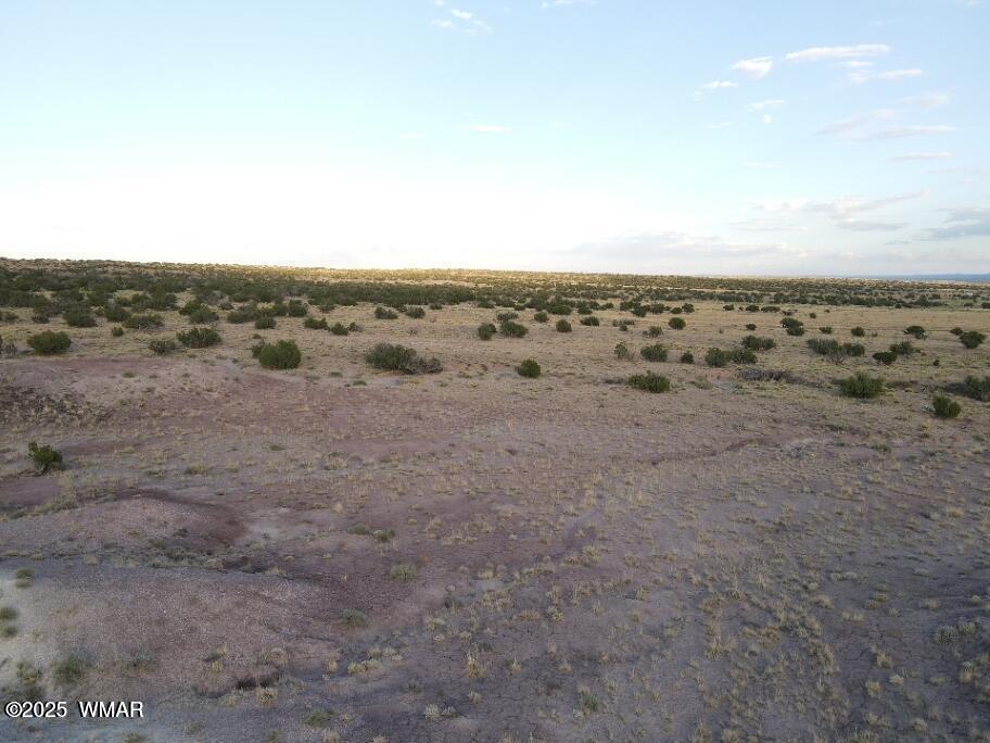 Lot 12 Carrizo Ranch St. Johns, AZ 85936 - Photo 5 of 7 a view of an outdoor space with mountain view
