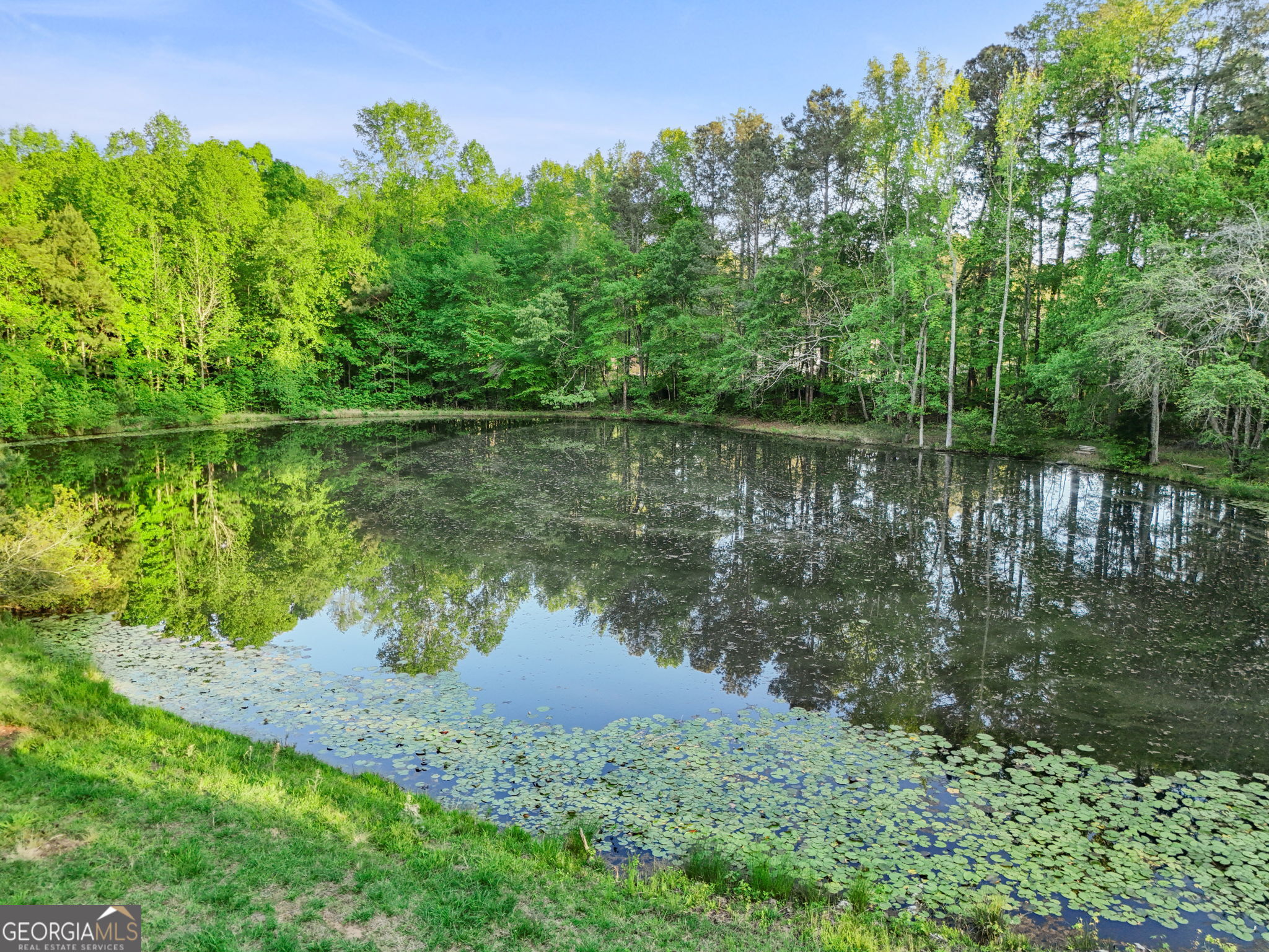 143 Cedar Creek Road Newnan, GA 30263 - Photo 33 of 47