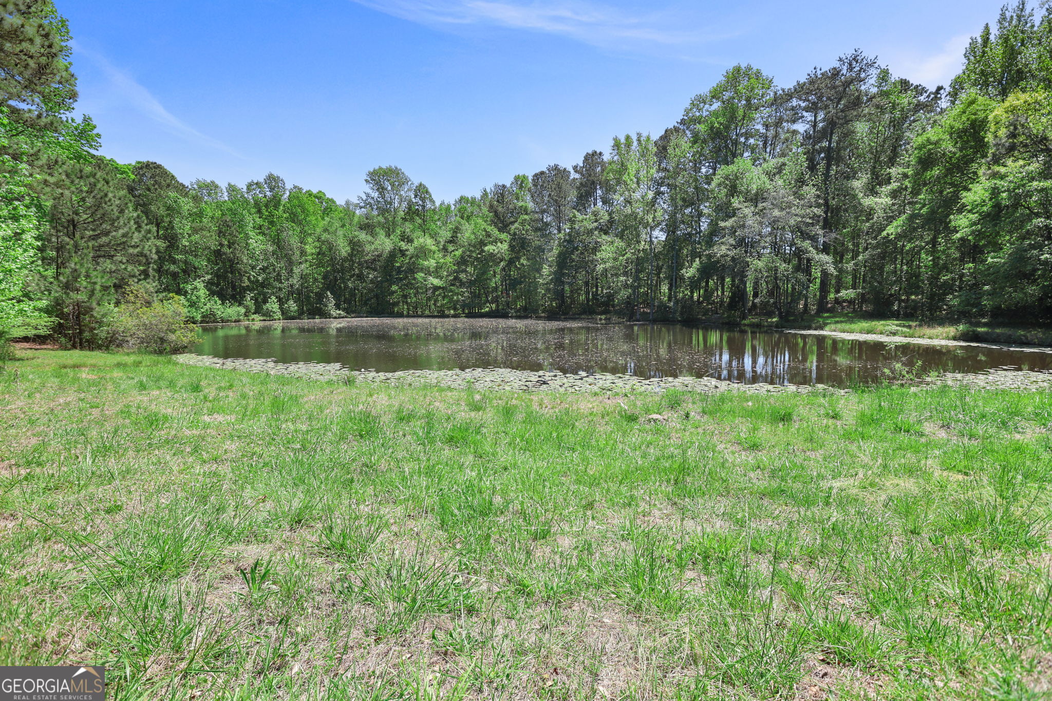 143 Cedar Creek Road Newnan, GA 30263 - Photo 46 of 47