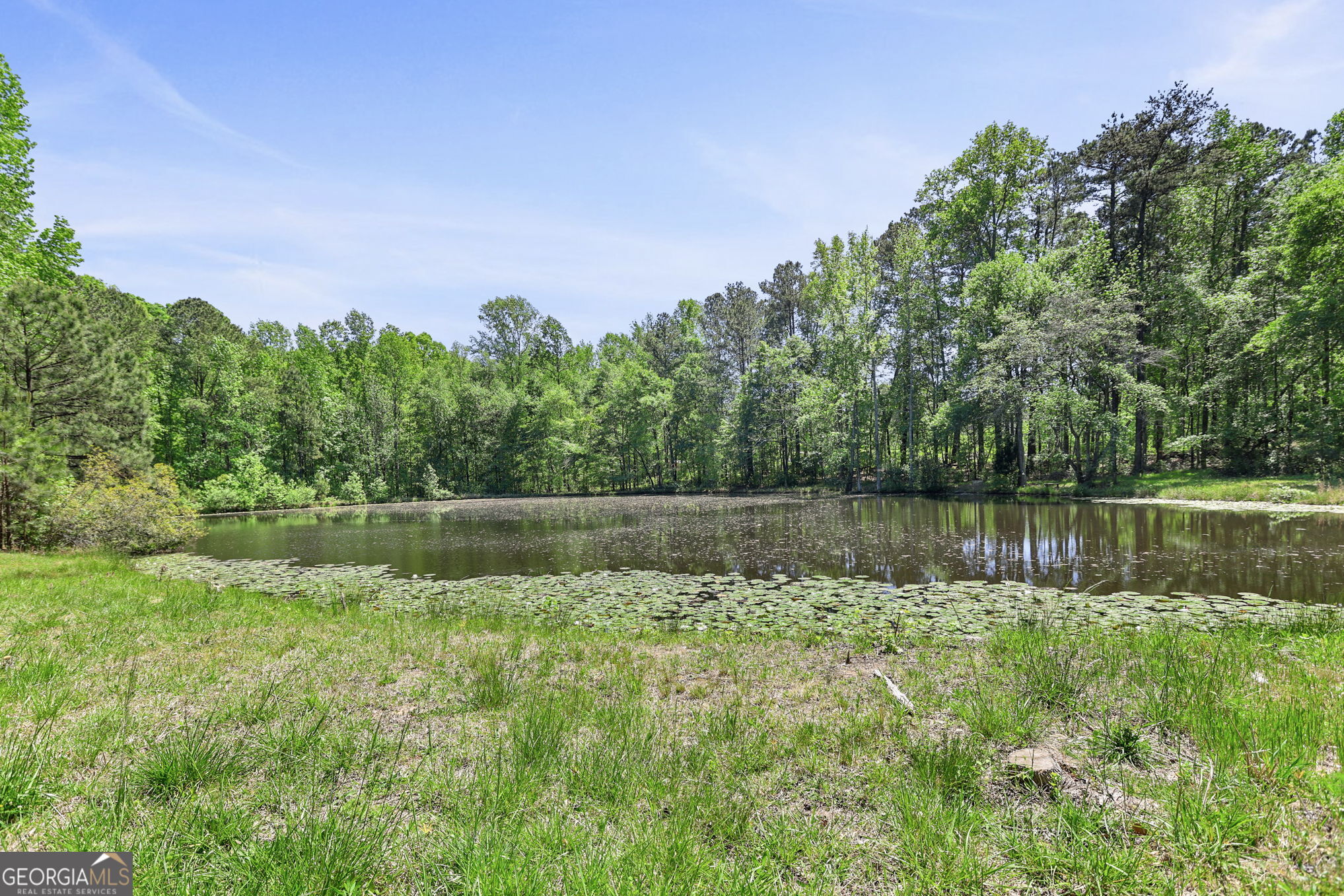143 Cedar Creek Road Newnan, GA 30263 - Photo 47 of 47