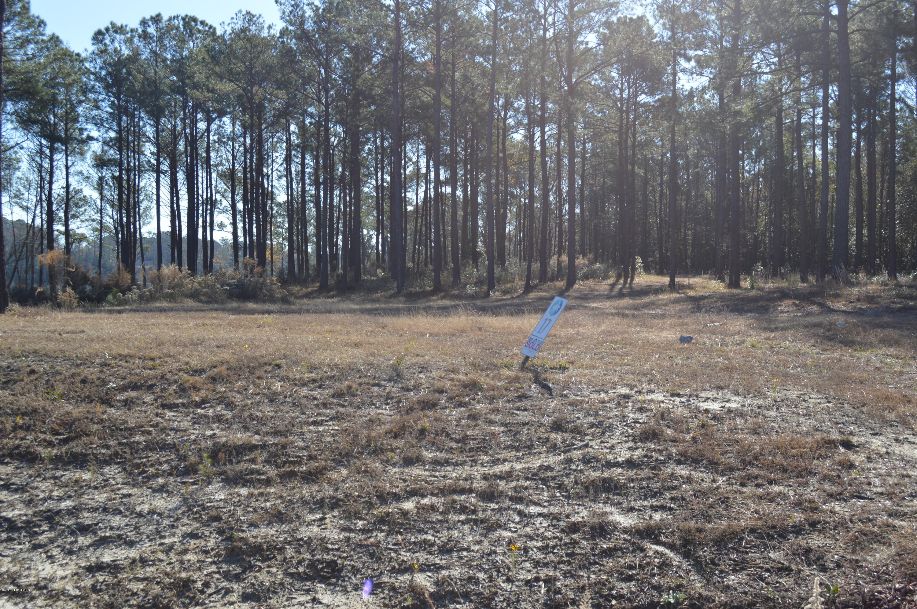 254 Gus Horne Road Holly Ridge, NC 28445 - Photo 1 of 13 DSC_0042
