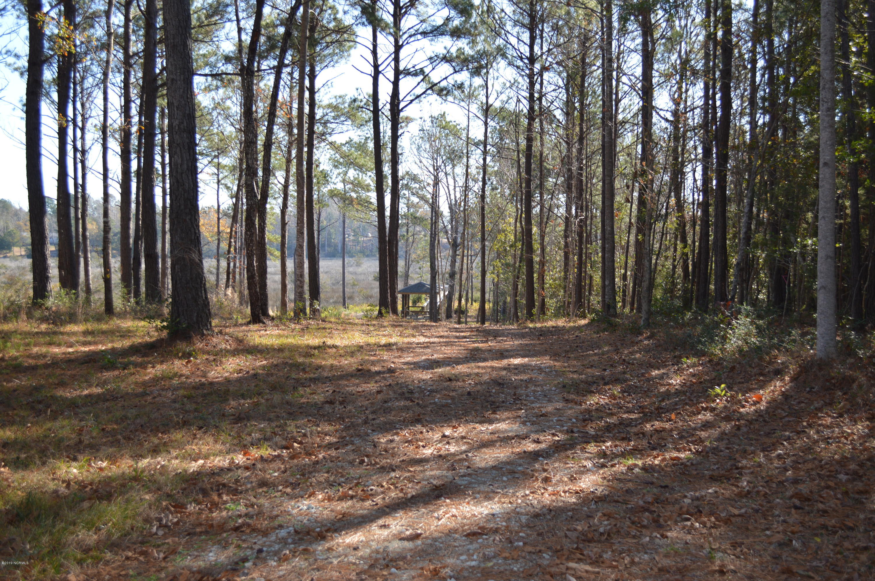 254 Gus Horne Road Holly Ridge, NC 28445 - Photo 3 of 13 DSC_0045