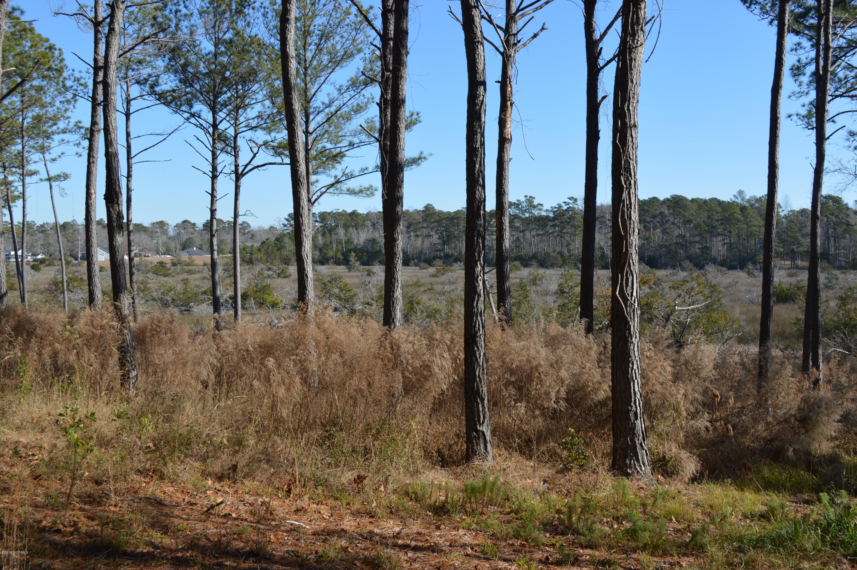 254 Gus Horne Road Holly Ridge, NC 28445 - Photo 4 of 13 DSC_0046