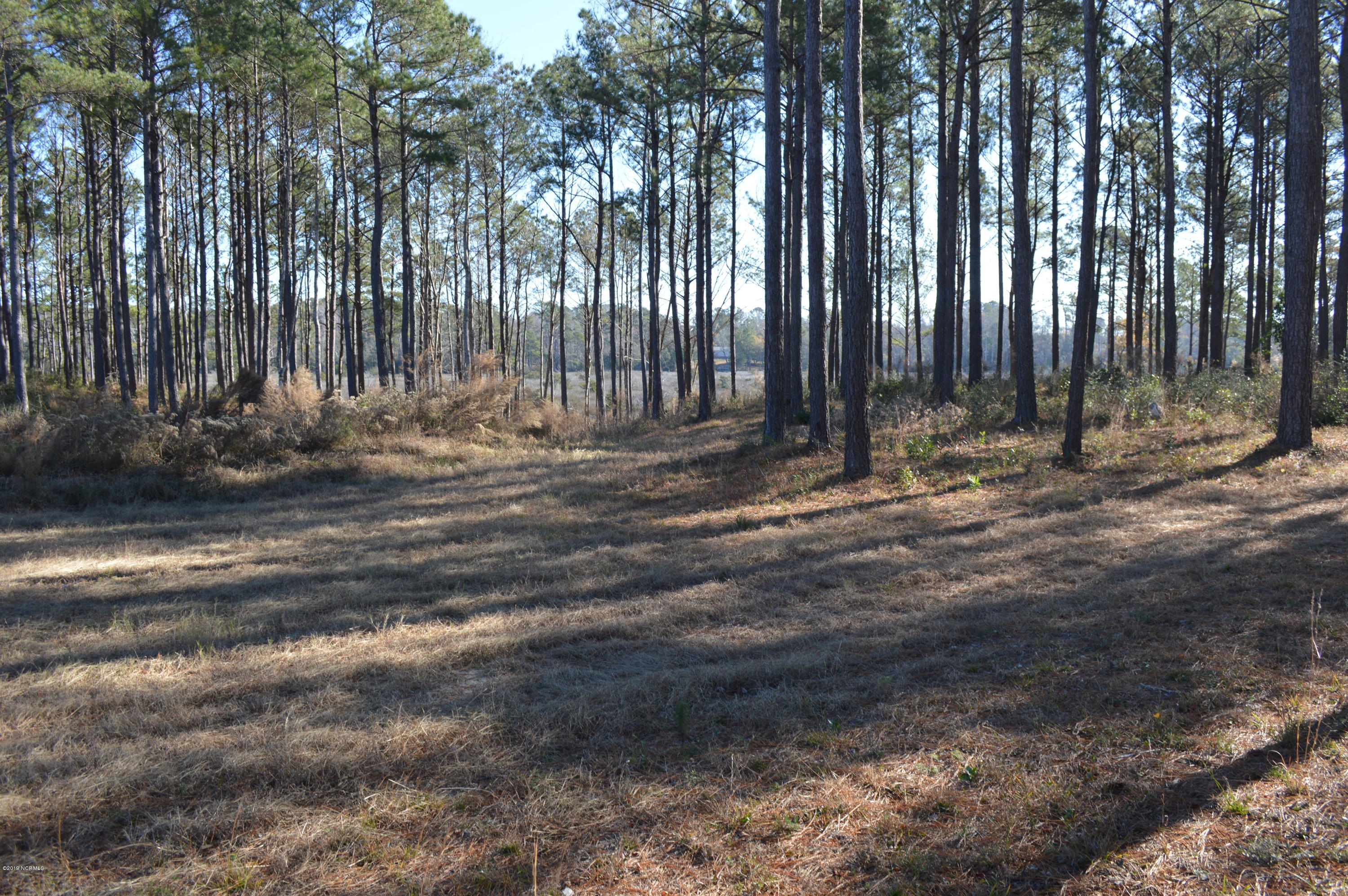 254 Gus Horne Road Holly Ridge, NC 28445 - Photo 7 of 13 DSC_0049