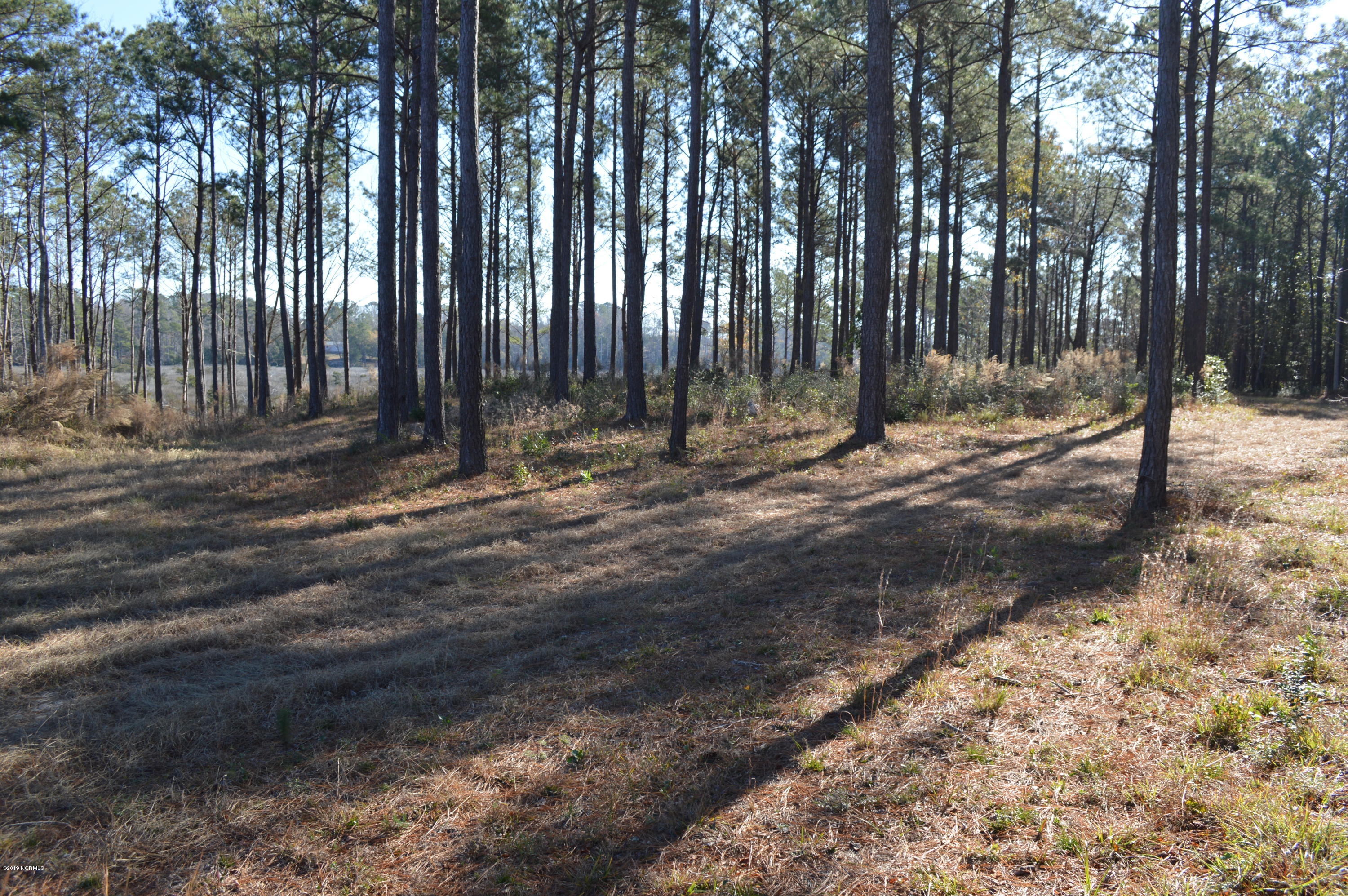254 Gus Horne Road Holly Ridge, NC 28445 - Photo 8 of 13 DSC_0050
