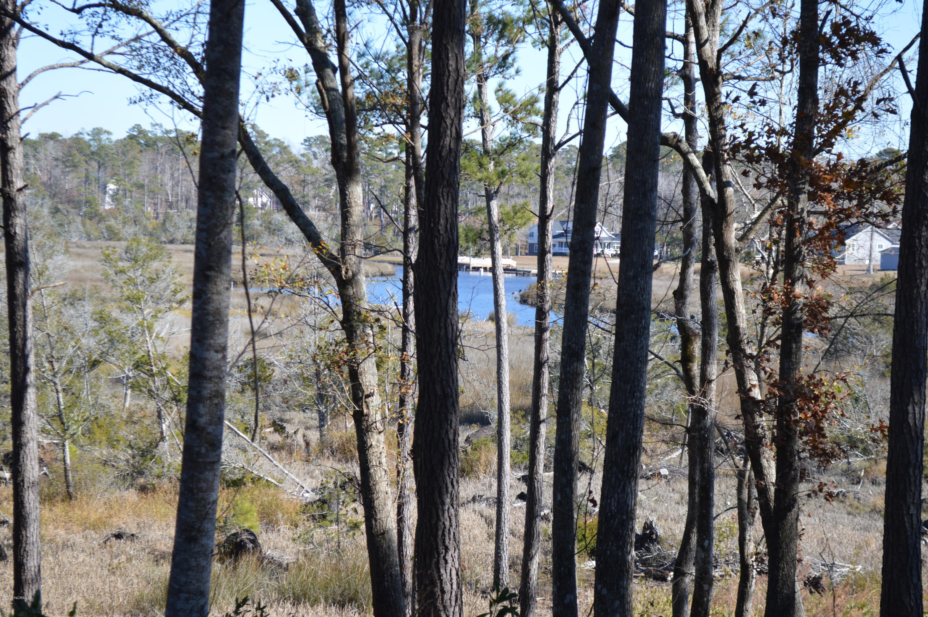 254 Gus Horne Road Holly Ridge, NC 28445 - Photo 10 of 13 DSC_0054