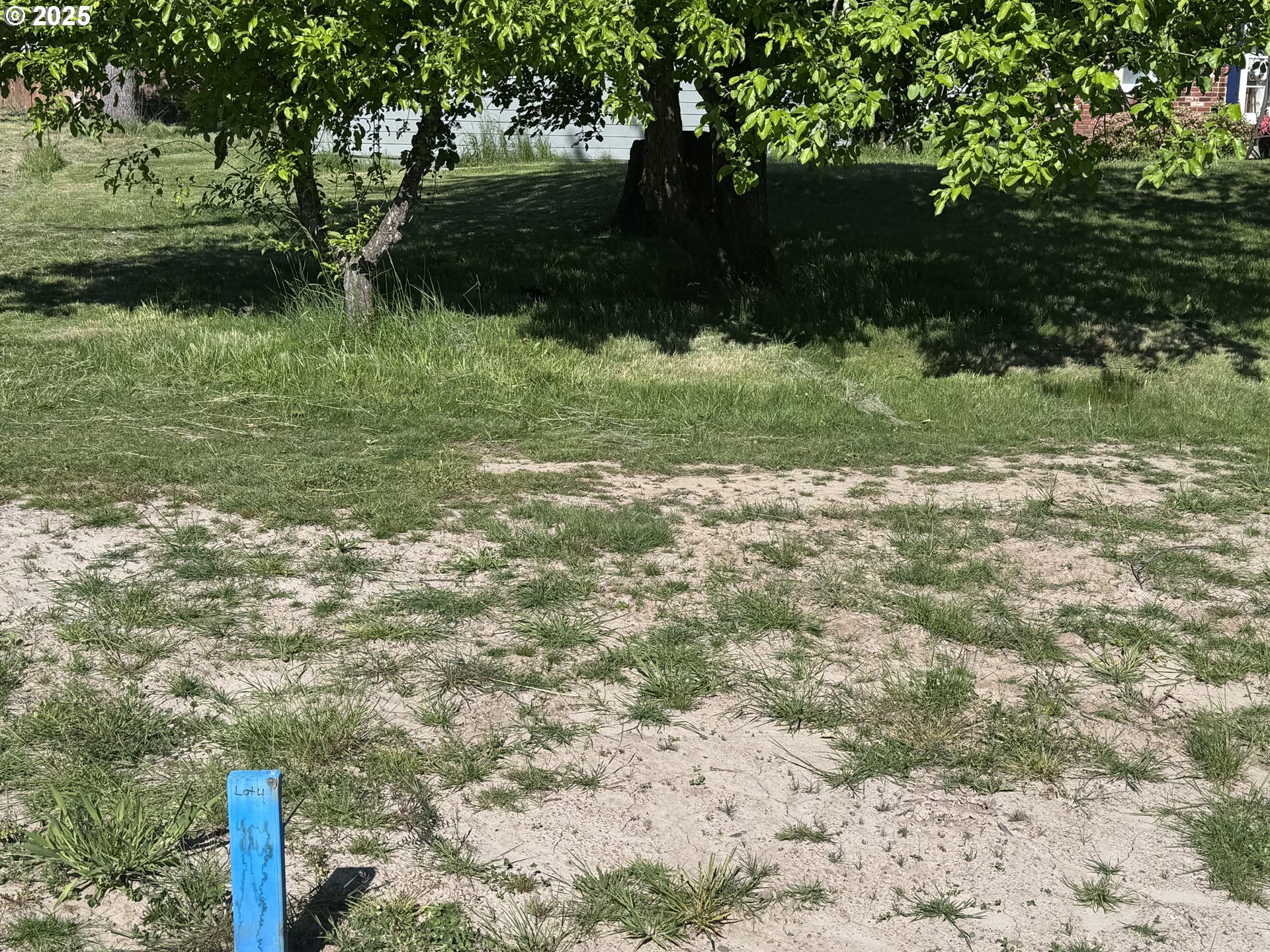 0 Southeast Sweetbriar Road, Unit 4 Troutdale, OR 97060 - Photo 4 of 15 a view of a yard with plants