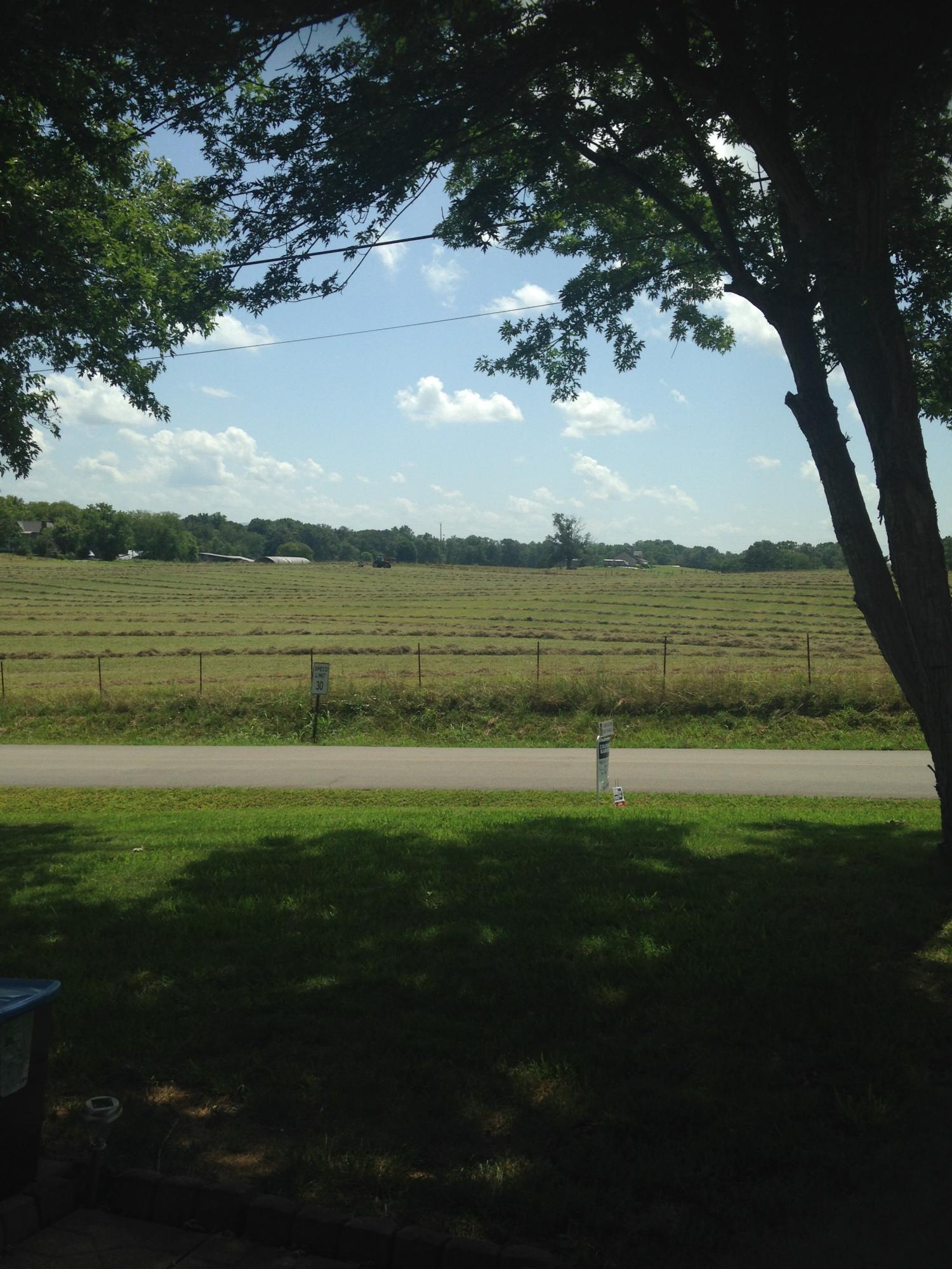 403 Temple Road Maryville, TN 37804 - Photo 31 of 33 views from front porch