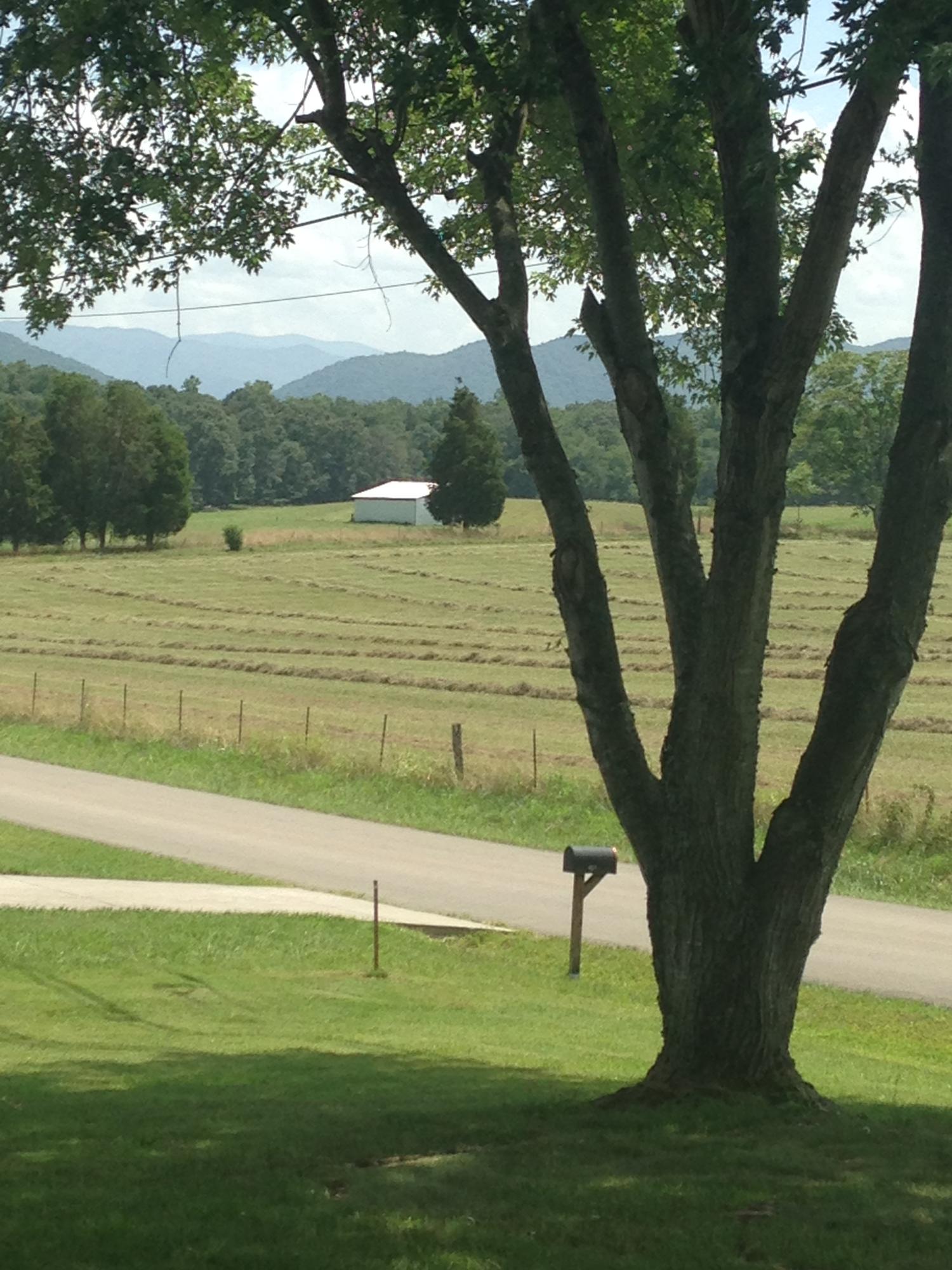 403 Temple Road Maryville, TN 37804 - Photo 33 of 33 views from front porch