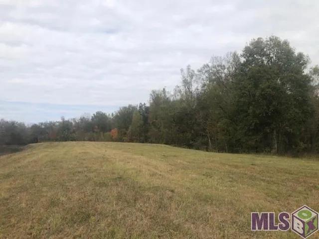 $350,000 | 1093 Poydras Bayou Drive, Port Allen, LA 70767