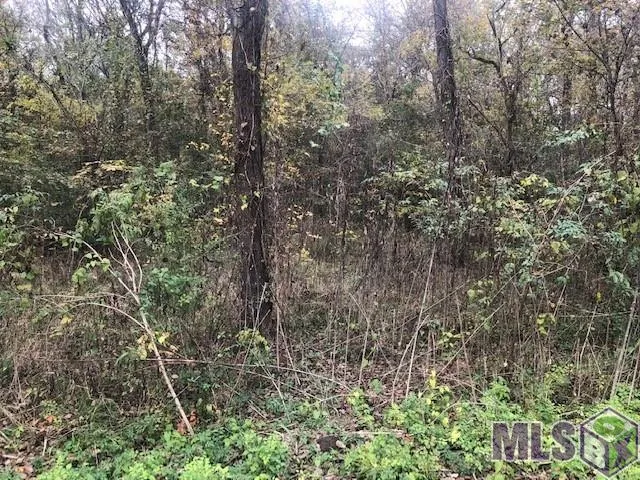 $350,000 | 1093 Poydras Bayou Drive, Port Allen, LA 70767