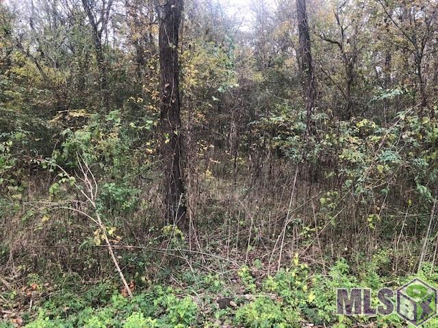 1093 Poydras Bayou Drive Port Allen, LA 70767 - Photo 11 of 11