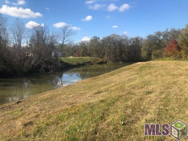 1093 Poydras Bayou Drive Port Allen, LA 70767 - Photo 3 of 11